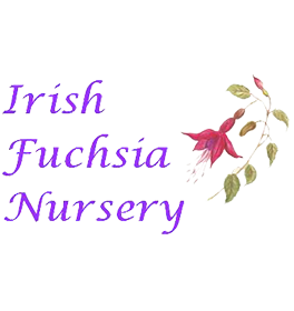 Irish-Fuchsia-Nursery-Logo