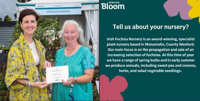 Bord Bia Bloom - Nursery Focus - October 2024